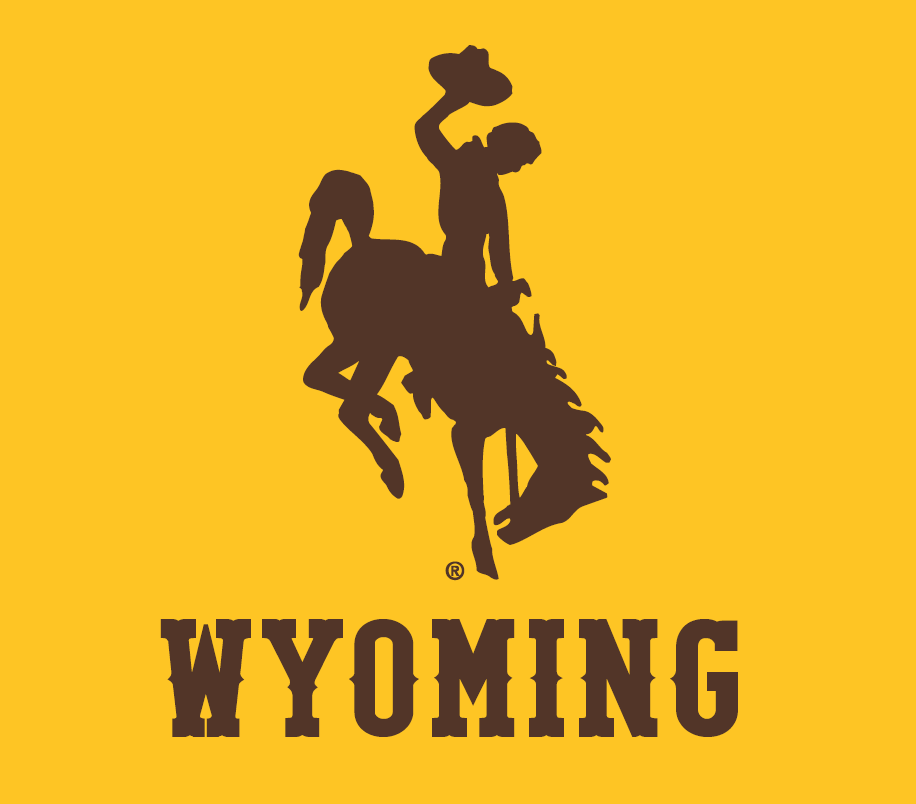 Wyoming Cowboys 2013-Pres Alternate Logo 02 vinyl decal